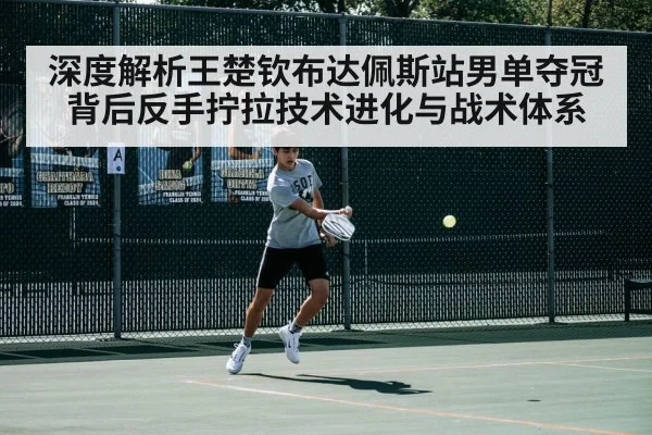 深度解析王楚钦布达佩斯站男单夺冠背后反手拧拉技术进化与战术体系