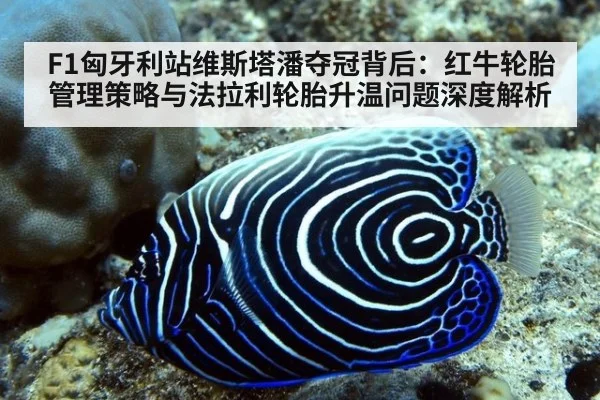 F1匈牙利站维斯塔潘夺冠背后:红牛轮胎管理策略与法拉利轮胎升温问题深度解析